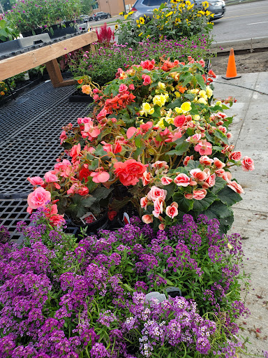 Witten Farm Market - Thumbnail