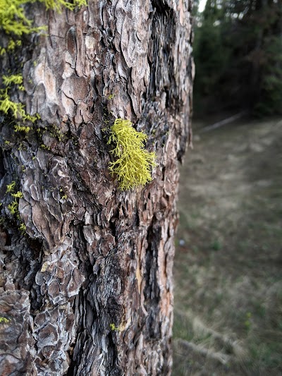 Stough Reservoir Campground