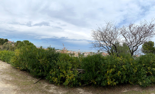 Parco Villa Basile - Thumbnail