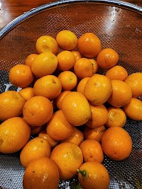 ミュージックバーおれん家