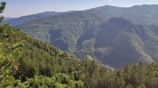 Cariseto - Visual