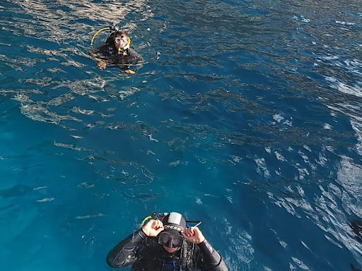 Gnu Diving Salento - Visual
