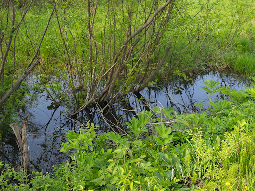 Vosse Coulee State Natural Area - Thumbnail