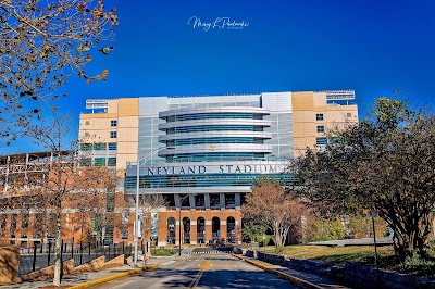 Neyland Stadium