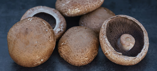 Waldfrüchte Schmid - Visual