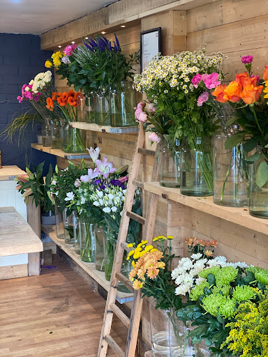 The Little Flower Shed