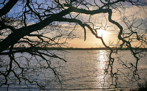 Pointe de Rosvellec - Thumbnail