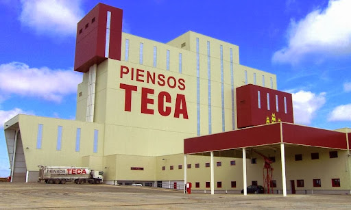 Piensos Teca