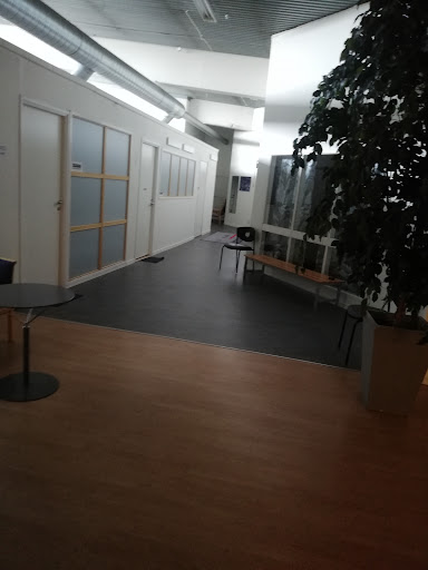 Örebro Squaredancers - Visual