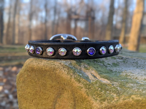 Dazzle Hound Collars - Visual