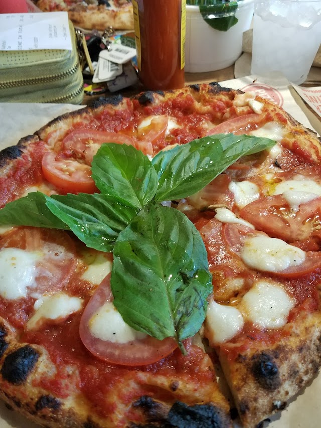 PIZZA ROTO