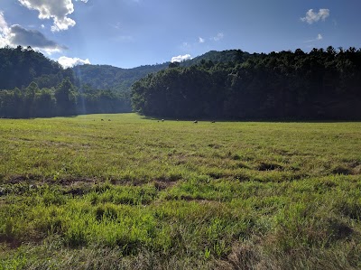 Cataloochee Campground