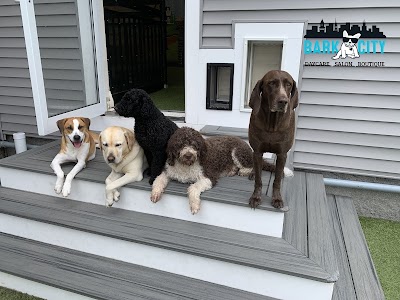 Bark City Doggy Daycare