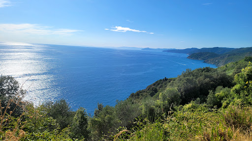Martolga Bay