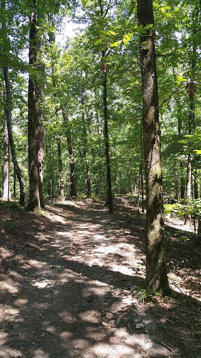 Mountain Top Trail