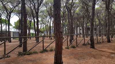 Photos of Hotel Villa Nettuno