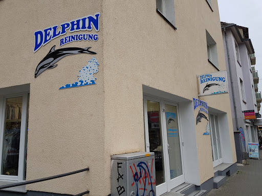 Delphin Reinigung - Thumbnail
