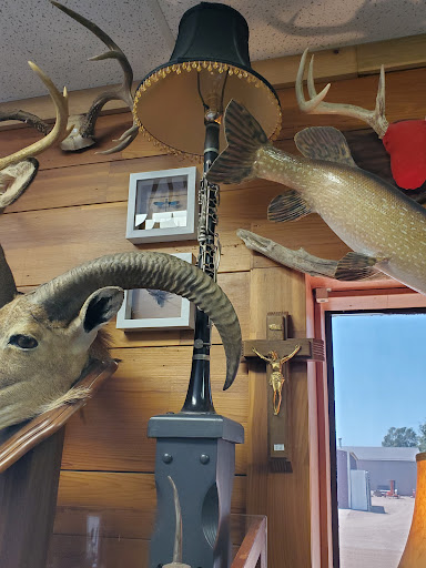 Abby Normal’s Museum of the Strange Gallery - United States