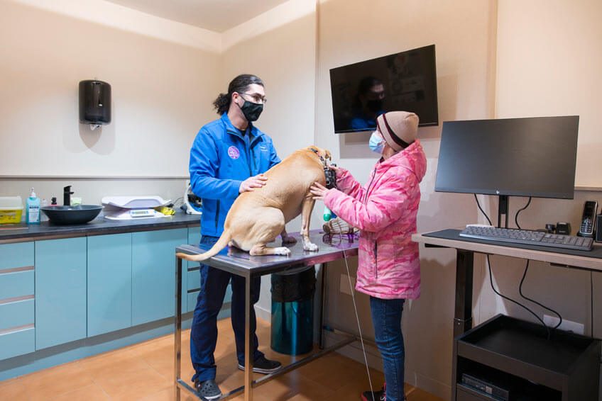 Centro Veterinario Fuente del Moral