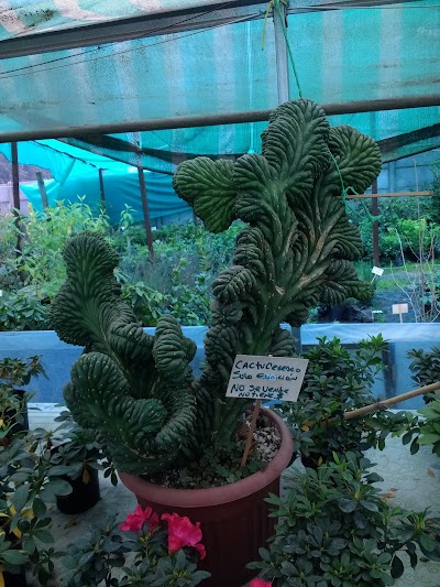 Photos of Agro-Vet