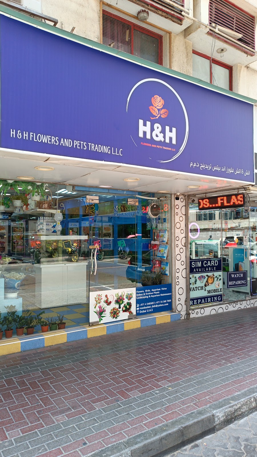 Pet wonder ornamental L.L.C (Satwa BR.) - صورة 2