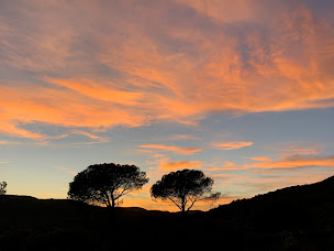 Photo n°8 de Olivier CAPITAINE - Capifrance - à Clermont-l'Hérault (Consultant immobilier)