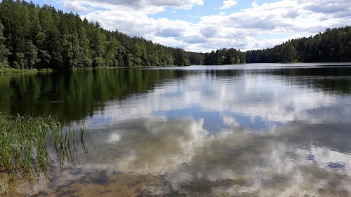 Viitna loodusõpperada