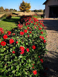 Photo n°27 de La ferme de la Terve : gîte et chambres d'hôtes (B&B, hôtel) à Bruailles (Hôtel)