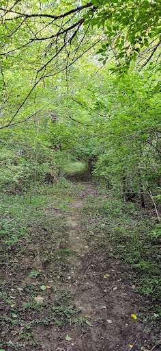 Deer Creek State Park Marsh Walk Trailhead - Thumbnail