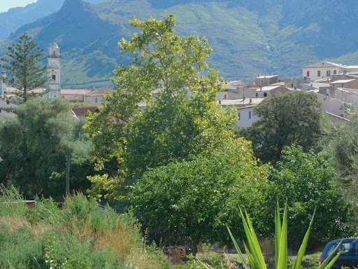 A CASA DI JO Gallery - France