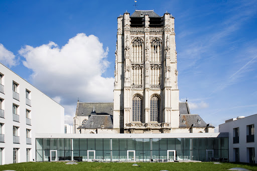 Faculty of Social Sciences - UAntwerp - Thumbnail