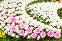 家族葬 ときの風 八女斎場