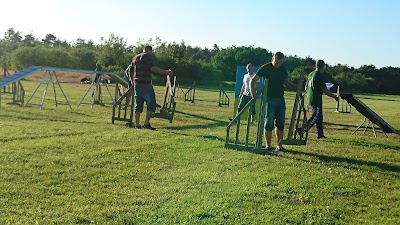 Photos of Skjern A Camping