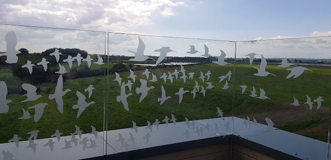 Reviews of WWT Slimbridge in Gloucester - Other