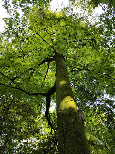 Schlossberg Heiligkreuz Nature Reserve - Thumbnail