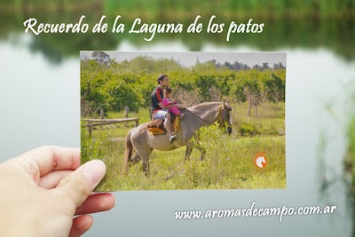 Photos of Paseos a caballo "Laguna de los Patos"