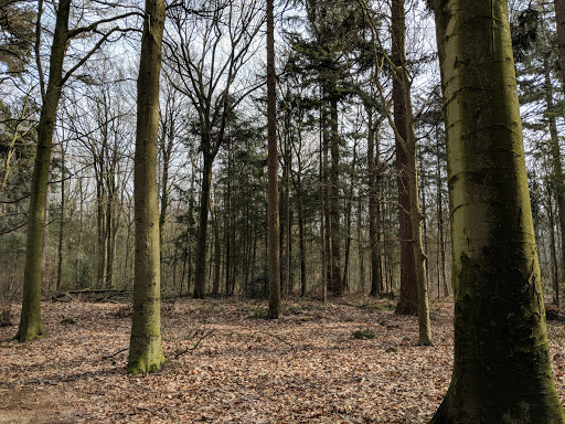 Camping Zonneheuvel Gallery - Netherlands