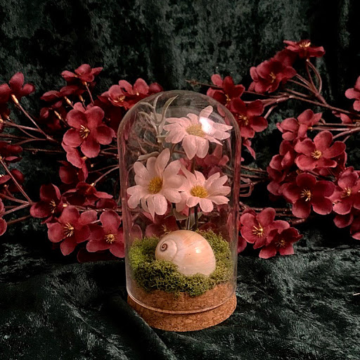Garden Oddities - Thumbnail