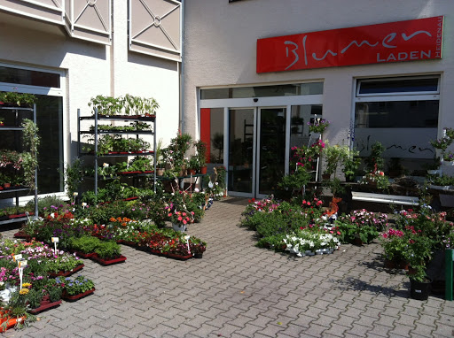Blumen-Heidenau