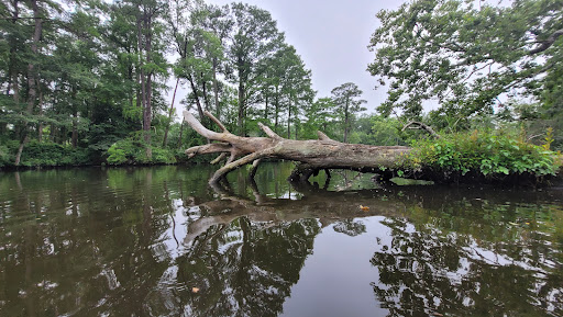 Roger C. Fisher Laurel River Park - Thumbnail