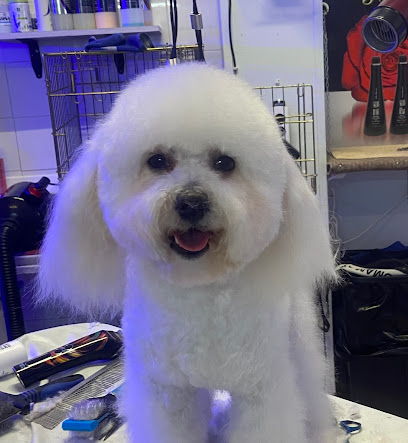 Dog Style