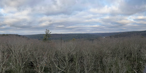 Cook Forest Tower - Thumbnail