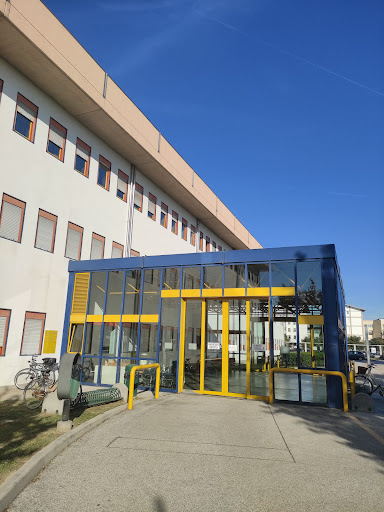 Dermatologia Treviso - Thumbnail