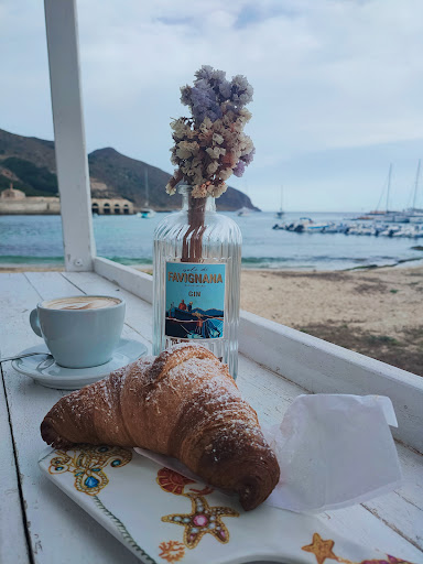 Magneva - Visual