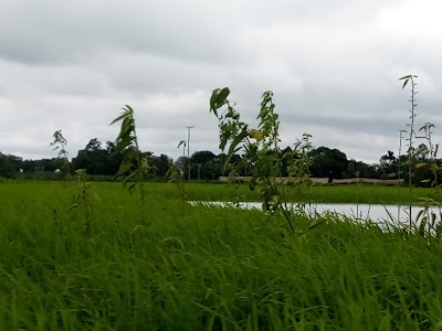 Photos of indrasun