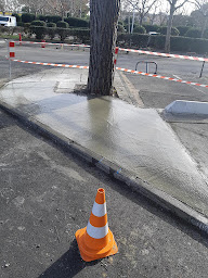 Photo n°12 de Ribeiro bat à Mèze (Maçon)