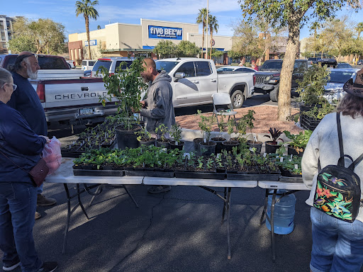 Yuma Palms Regional Center Parking lot - Thumbnail