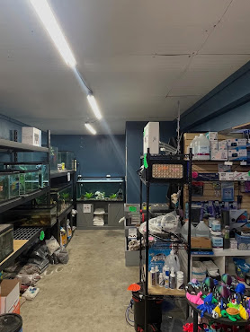 Sea Creatures by null