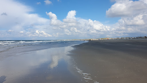Camping Hoek van Holland - ONS.Recreatieoord - Thumbnail