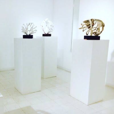 Photos of Saskia Fernando Gallery